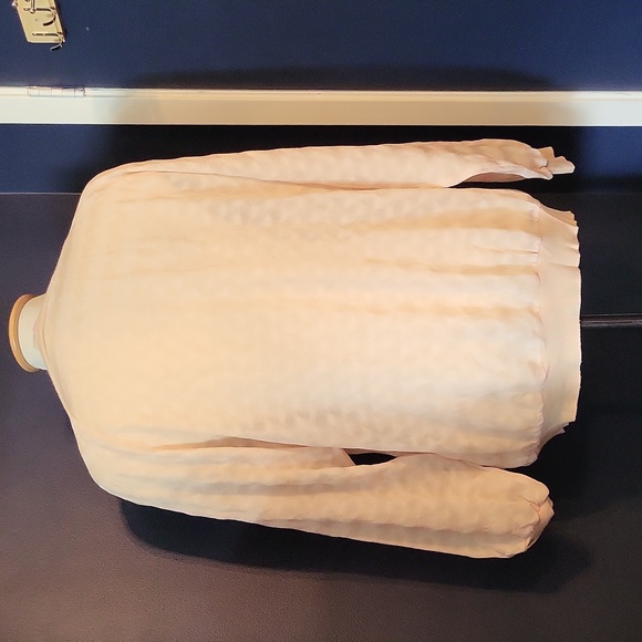 Xl isaac mizrahi sheer beige top - Picture 3 of 5